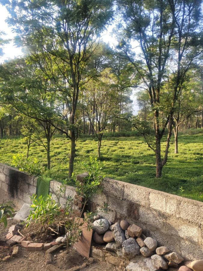Homestay Jagdishwary Kuteer
