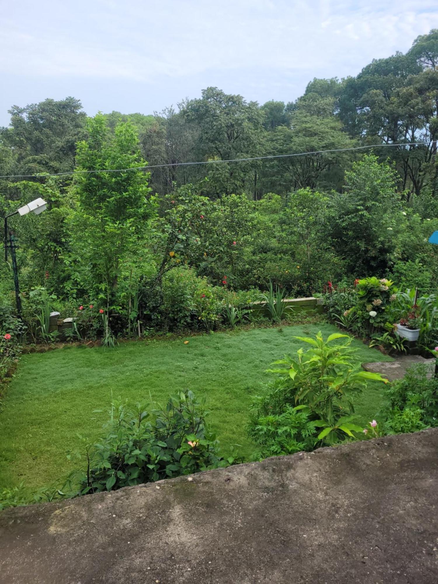 Jagdishwary Kuteer Homestay Palampur